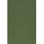 Lámina universal Evelatus Color Shinning para cortador de pantalla verde militar