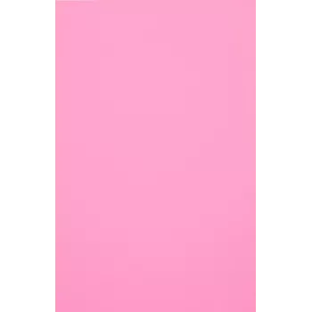 Evelatus Film universal Color Shinning para cortador de pantalla rosa claro (50 hojas)