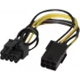 EXERTIS CONNECT cable adaptador de corriente PCI Express 6 pines a 8 pines para tarjetas gráficas (146695)