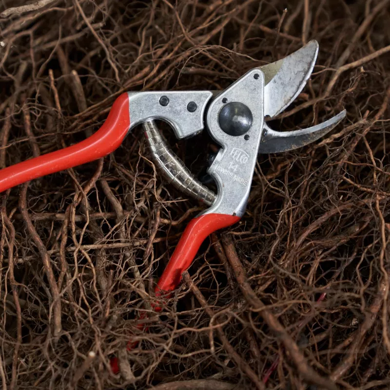 FELCO 14 tijeras de podar de una mano, talla S