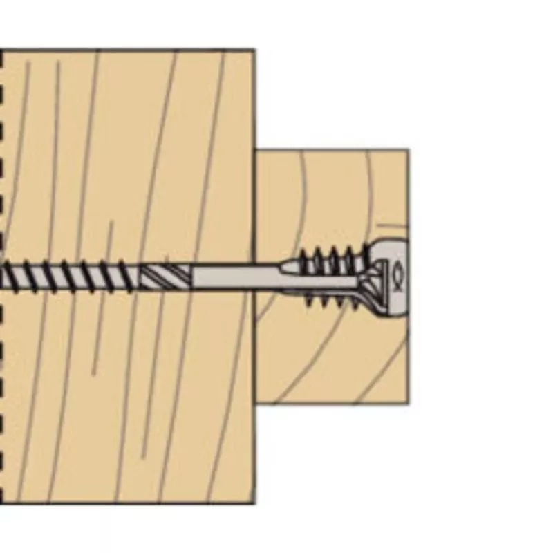 Fischer 558881 tornillo de ajuste FAFS 5 mm x 100 mm perfil en T acero galvanizado Torx T25 cabeza avellanada (pack de 100)