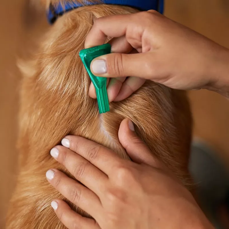 Frontline Combo Spot-On L para perros 20-40 kg – 3 pipetas x 2,68 ml