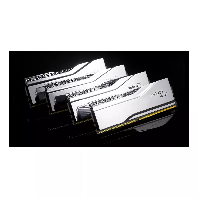 G.Skill Trident Z5 Royal RGB 48GB (2x24GB) DDR5-8400 CL40 kit de memoria para PC de sobremesa - plata pulida