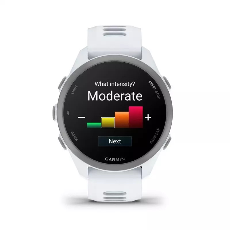 Garmin Forerunner 170 Music, Whitestone con correa Whitestone/Cloud Blue