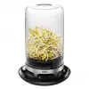 GEFU Bivita 18910 Germinador, vidrio, negro