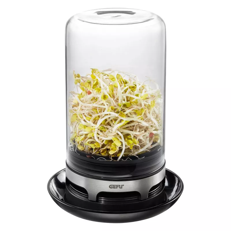 GEFU Bivita 18910 Germinador, vidrio, negro