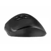 Gembird MUSW3-9B-01 ratón ergonómico inalámbrico triple modo (2,4 GHz + Bluetooth + USB-C), 2400 DPI, 9 botones, negro