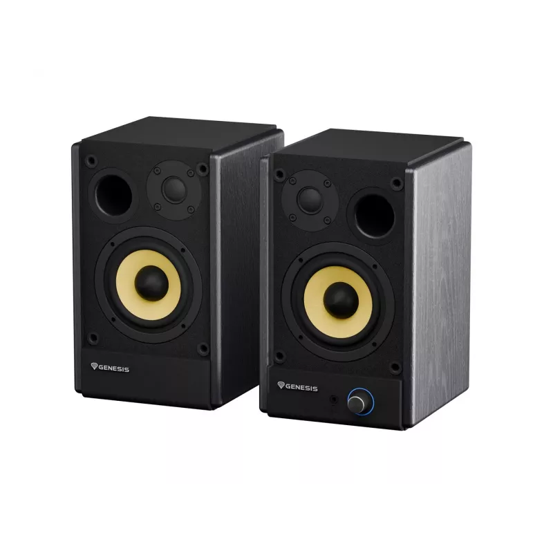 Altavoces de sobremesa Genesis Arsen 402BT NGS-2415, 2.0, 60 W, Bluetooth 5.3, negro