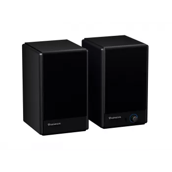 Altavoces de sobremesa Genesis Arsen 402BT NGS-2415, 2.0, 60 W, Bluetooth 5.3, negro