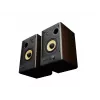 GENESIS ARSEN 402BT de 2 vías bronce con cable e inalámbrico 60 W