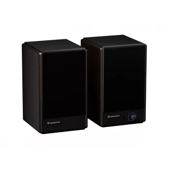 GENESIS ARSEN 402BT de 2 vías bronce con cable e inalámbrico 60 W