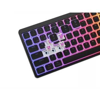 GENESIS Thor 430 TKL teclado gaming mecánico inalámbrico, interruptores Outemu Red, iluminación RGB, triple modo (USB-C/2.4GHz/Bluetooth), QWERTY inglés US, negro