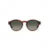Gafas de sol de mujer GIORGIO ARMANI AR8146-596271 Havana acetato verde degradado 50/15/145 mm