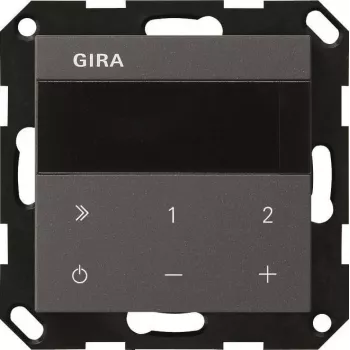 GIRA 232028 radio empotrable IP System 55 antracita