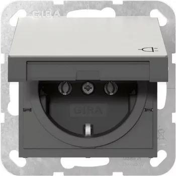 Gira 4454600 Toma SCHUKO con tapa abatible, System 55, acero inoxidable