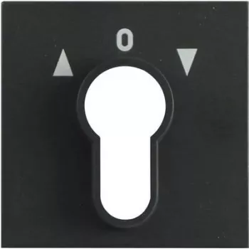 Gira tapa para interruptor de llave, System 55, antracita 066428