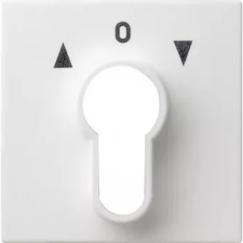 Gira Placa embellecedora para interruptor de llave, System 55, blanco puro (066427)