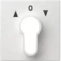 Gira Placa embellecedora para interruptor de llave, System 55, blanco puro (066427)