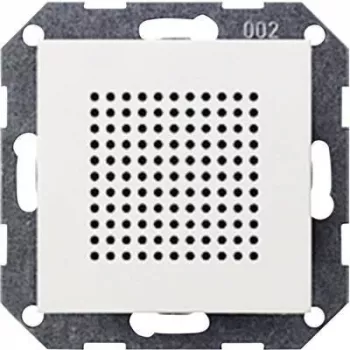 Gira System 55 Módulo altavoz de radio empotrable, Blanco puro mate (228227)