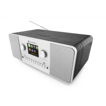 GoGen IR 257 BTDAB radio digital por internet plateada