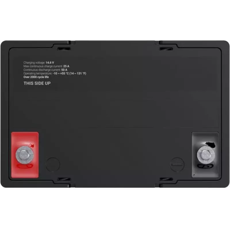Green Cell LFPGC12V60AH batería para SAI de litio hierro fosfato (LiFePO4) 12,8 V 60 Ah