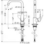 HANSGROHE Focus grifo de cocina 31820000 cromo