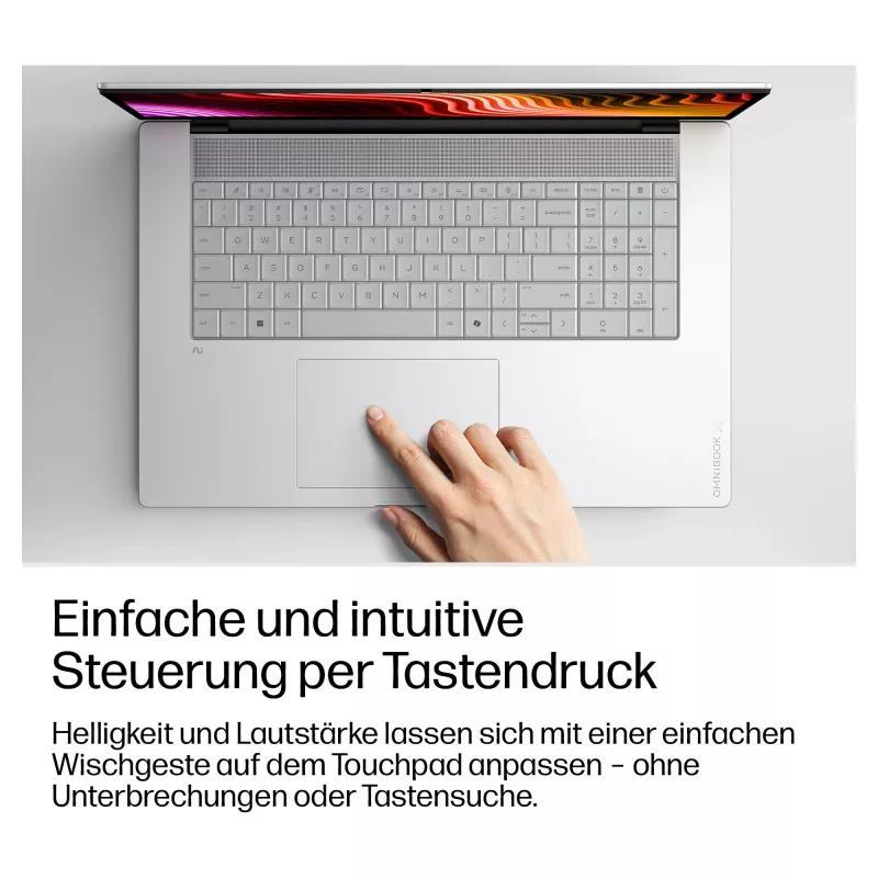 HP OmniBook X 17-de0473ngx Portátil, 17,3 pulgadas FHD táctil, Intel Core Ultra X7 358H, 32GB RAM, 1TB SSD, Windows 11 Home