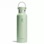 Hydro Flask 620 ml Tapón Flex Cap Standard 21 OZ Aloe