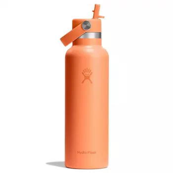 Botella isotérmica Hydro Flask 620 ml Standard Flex Straw Cap Nectar