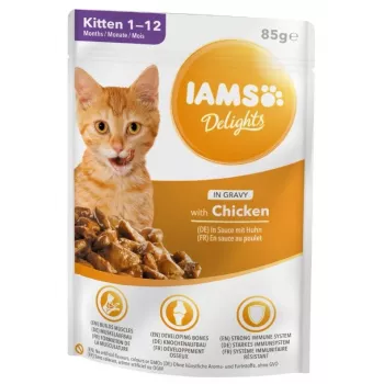 IAMS Delights Kitten Chicken in Gravy Alimento húmedo para gatos, 12 x 85g sobres