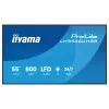 IIYAMA 55