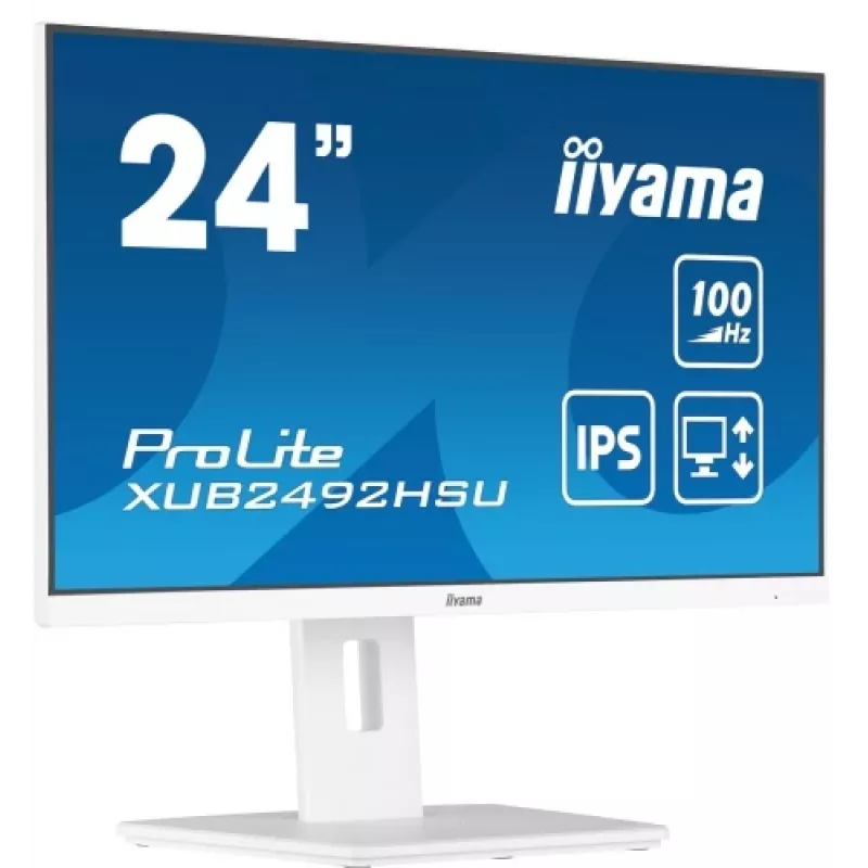 Monitor iiyama ProLite XUB2492HSU-W6 24