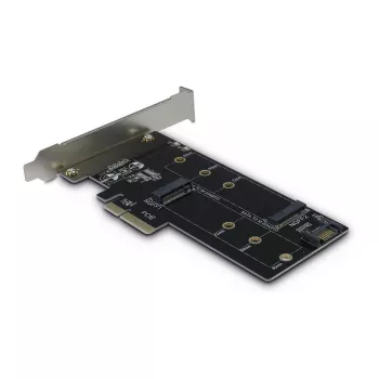Inter-Tech Tarjeta adaptadora PCIe KT015 PCIe x4 a M.2 NVMe + SATA a M.2