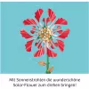 Kosmos kit de experimentos Solar-Flower