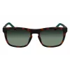Lacoste L956S-230 gafas de sol de hombre Havana marrón rectangular acetato 55 mm
