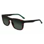 Lacoste L956S-230 gafas de sol de hombre Havana marrón rectangular acetato 55 mm