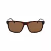 Lacoste Gafas de sol de hombre L6025S-219 Havana verde 56mm
