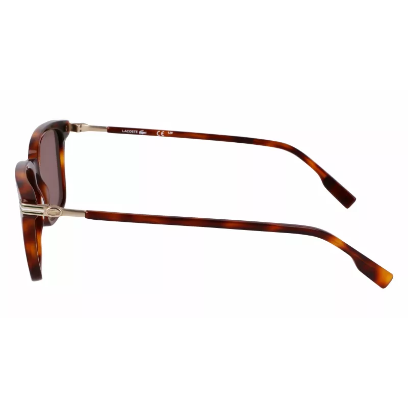 Lacoste Gafas de sol hombre L6035S5318214 - Montura acetato Havana, lentes marrones, 53 mm