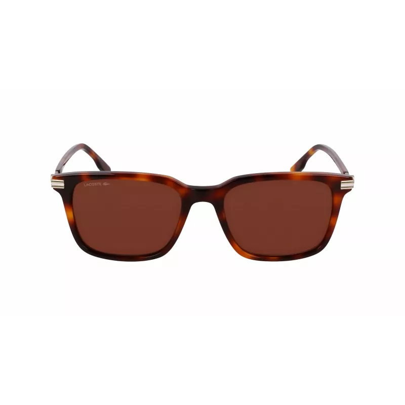 Lacoste Gafas de sol hombre L6035S5318214 - Montura acetato Havana, lentes marrones, 53 mm