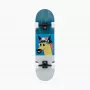 Landyachtz ATV Classic Fern monopatín