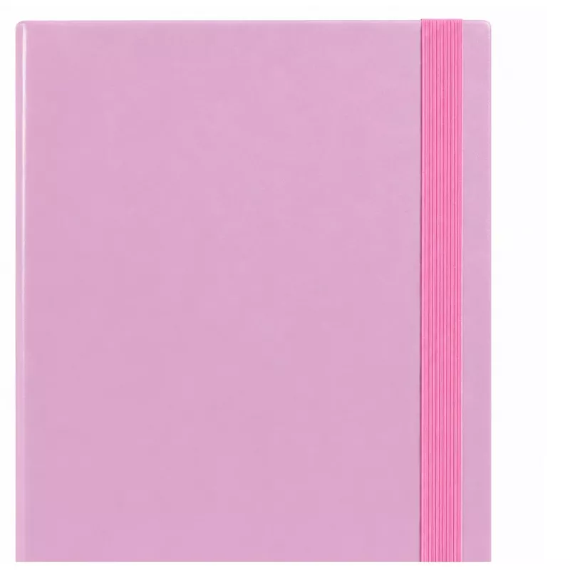 LEAN Carpeta de documentos A4 con goma, tapa dura, rosa, lomo de 4,5 cm