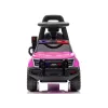 LEAN CARS Megáfono montable QLS-993 rosa