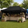 LEAN Express Carpa de jardín Catering Pabellón comercial Negro 3x6 M