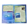 LEAN TOYS Ammonite Tiburón Kit Educativo de Excavación