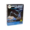 LEAN TOYS Set de excavación arqueológica esqueleto de dinosaurio Pteranodon holograma 3D