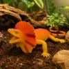 LEAN TOYS Collared Lizard Figura de goma elástica realista 19cm