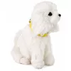 LEAN TOYS Perro de peluche interactivo con pelo suave caniche acariciar la cabeza y descubrir funciones