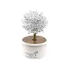 LEAN TOYS Árbol Mágico Cristal Cultivo Plata Experiencias