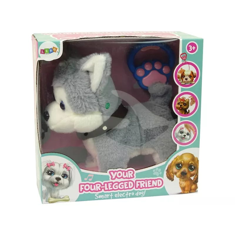 LEAN TOYS Perro de peluche interactivo educativo correa canciones paseos