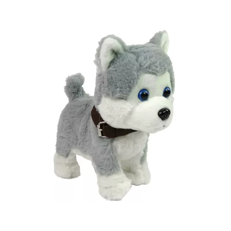 LEAN TOYS Perro de peluche interactivo educativo correa canciones paseos